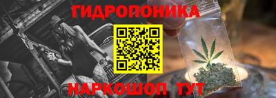 apvp Обнинск