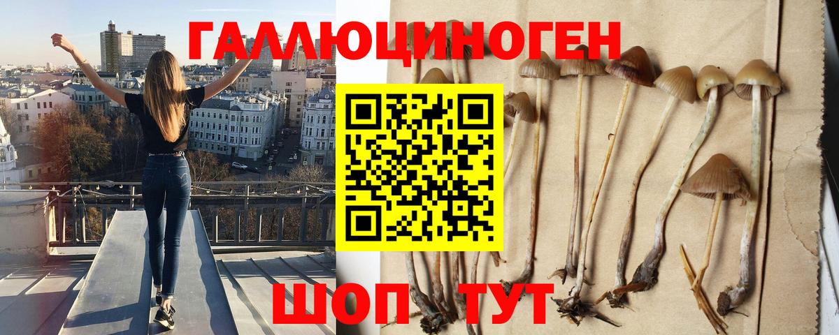 Псилоцибиновые грибы MAGIC MUSHROOMS Похвистнево